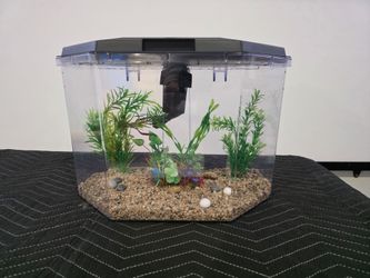 Aquarium