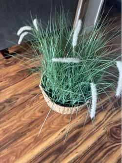 Decorative Grass Plant in Basket