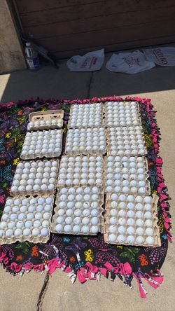 Golf balls     Used.        White.   $1. Each