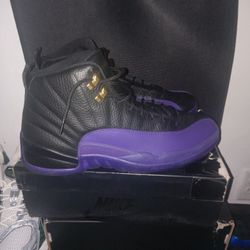 Air Jordan 12 RETRO Field Puple MEN SZ 13