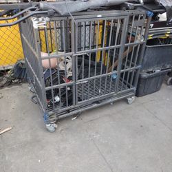 3x4x3 Cage