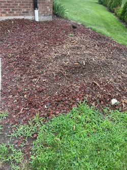 FREE Landscape Rocks