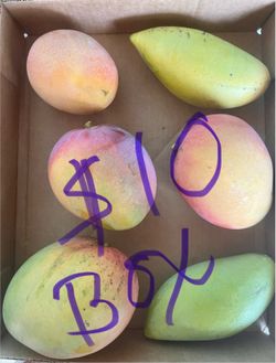 Mangoes 🥭 Organic
