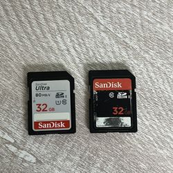 Two 32GB Sandisk SD Cards