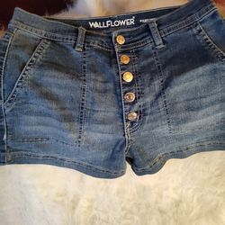 New Size 3 Wallflower Shorts