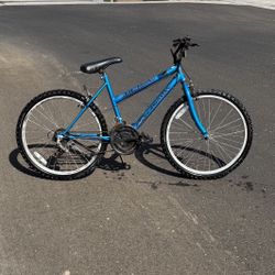 Roadmaster Mt. Fury Mountain Bike