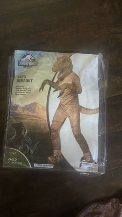 Spirit halloween   Custome
