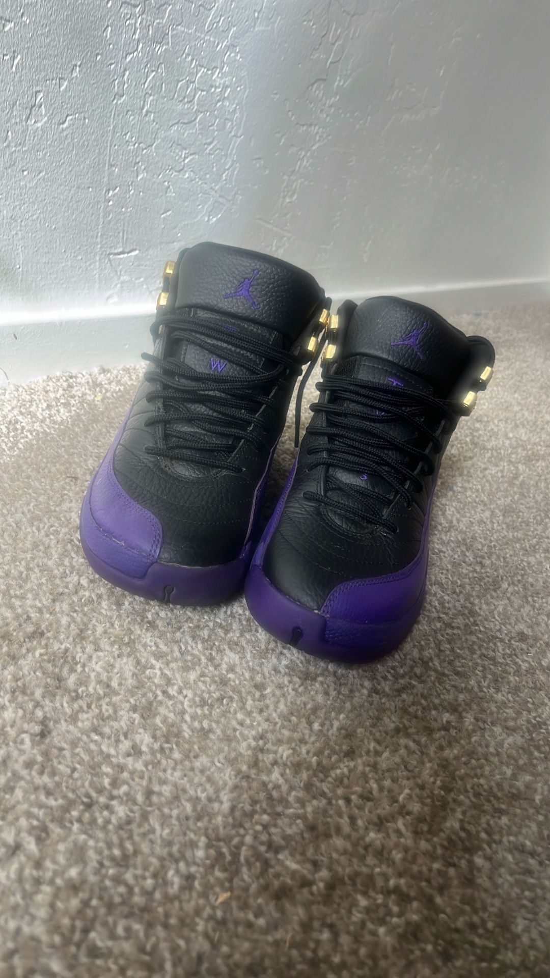 Jordan 12s