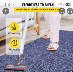 Indoor/Outdoor Carpet Velour 6ft. X 23 ft.