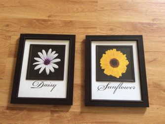 Daisy and Sunflower black framed art set of 2 11 2/1” x 9 1/2”