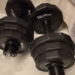 Dumbbell Weights