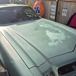 77 Camaro Hood. Straight/solid. 