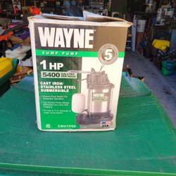 Wayne Sump Pump 1 HP