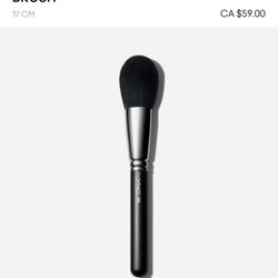 Mac Make Up Brushes 