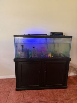 Fish tank