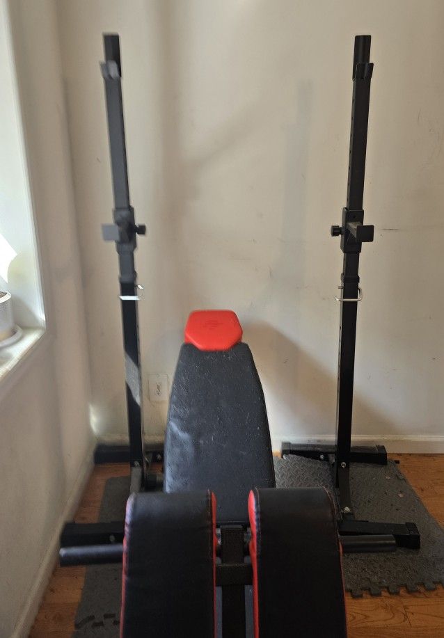 Weight Plate Set With Bench, Rack, And Trampoline. Reasonable Offer Accepted 