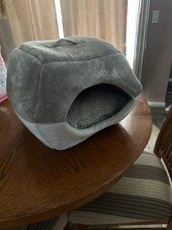 Kitten bed, carrier