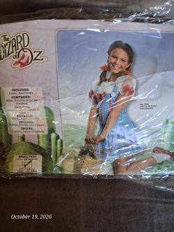 Wizard of Oz costume