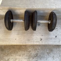 Dumble Weight Exercise 