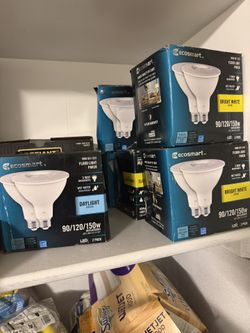 EcoSmart 90/120/150-Watt Equivalent