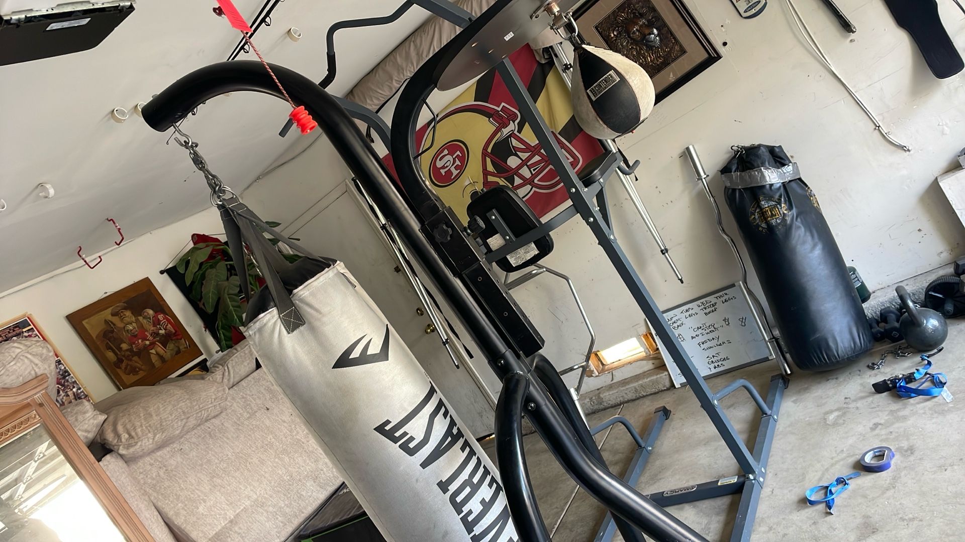 Punching Bag And Speed Bag 