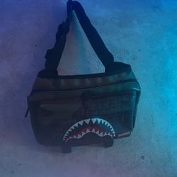 sprayground bag