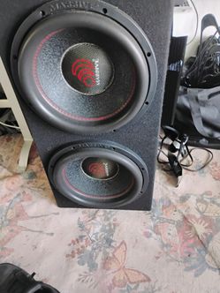 Two 12-in subwoofers 4000 w per speaker 30 HZ speaker box and a brand new 5000 watt RMS amplifier
