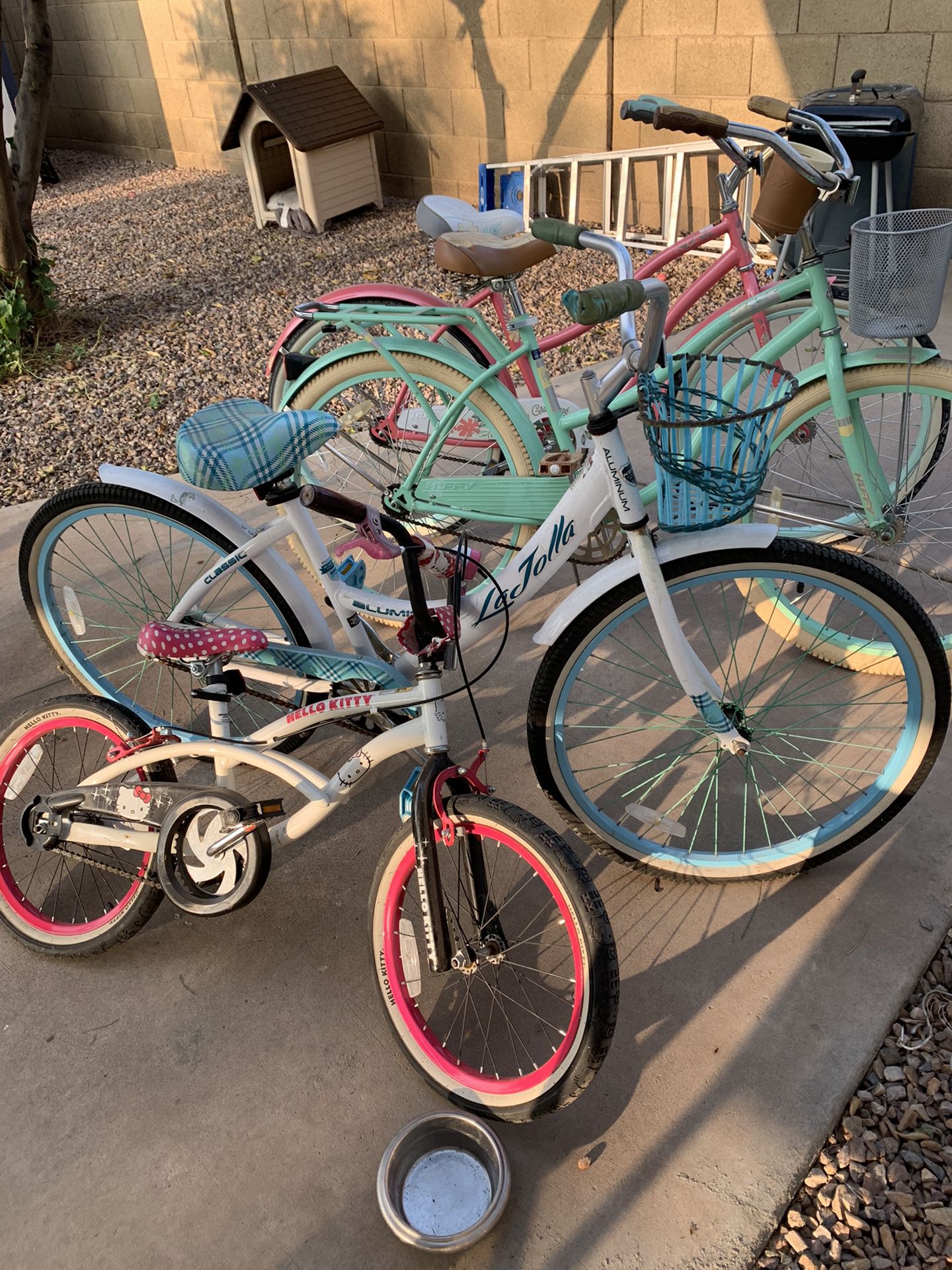 Bikes of various sizes