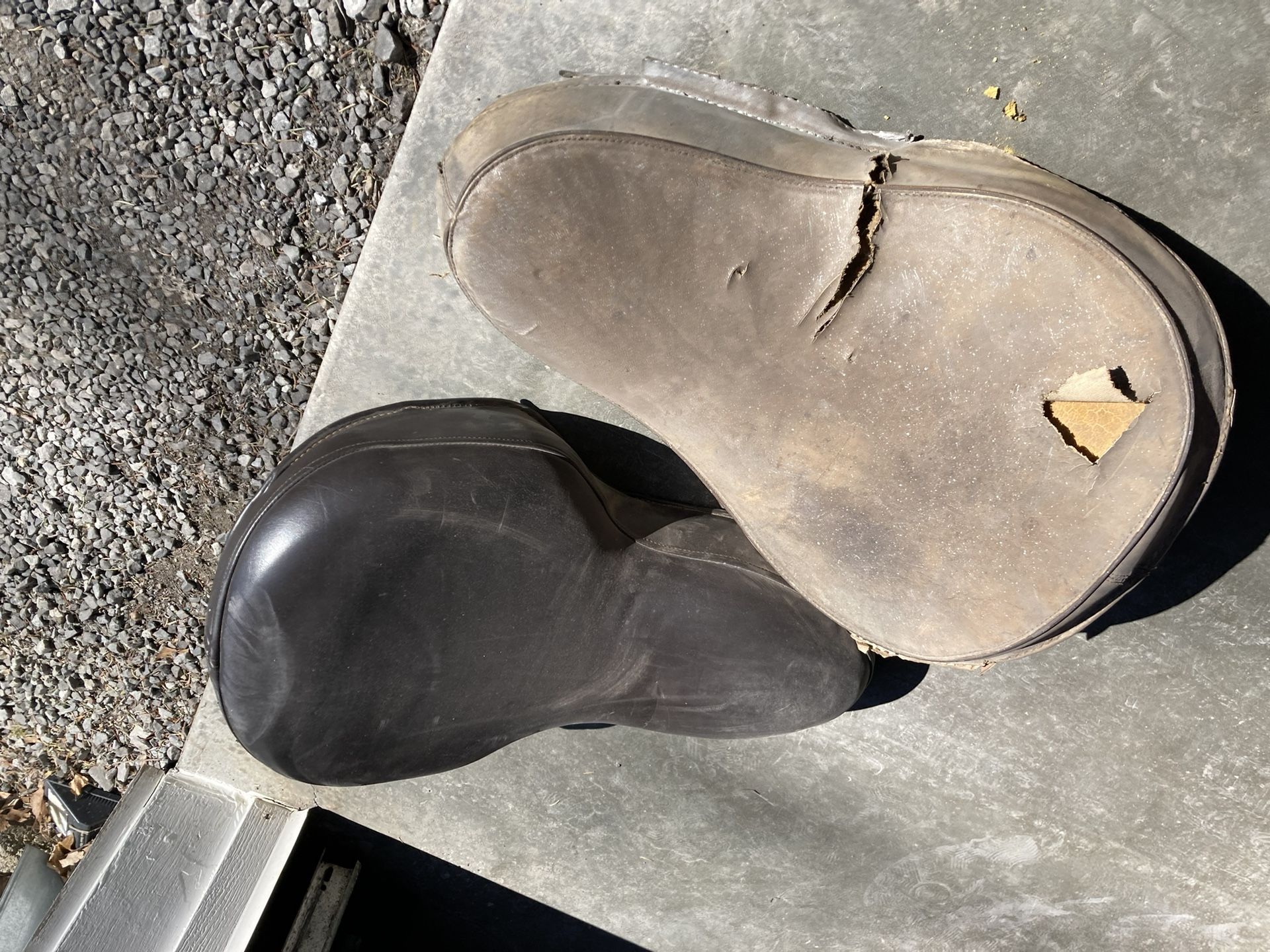 Harley-Davidson Buddy Seat