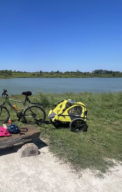 Dual Kid Bike Trailer