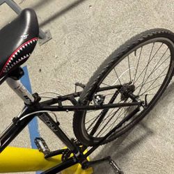 Fuji Cyclocross Pro 2010