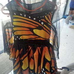 Butterfly Dress Costume 