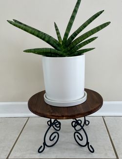 Plant Stand Rustic Burnt Wood with Black Metal Scrollwork NEW Plant/Vase Not Included.