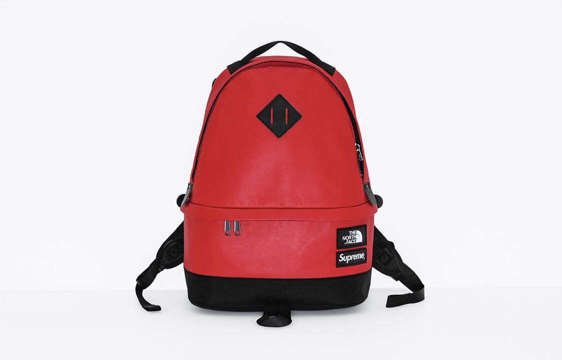 Supreme/The North Face Leather Daypack