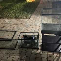 Fish Tanks