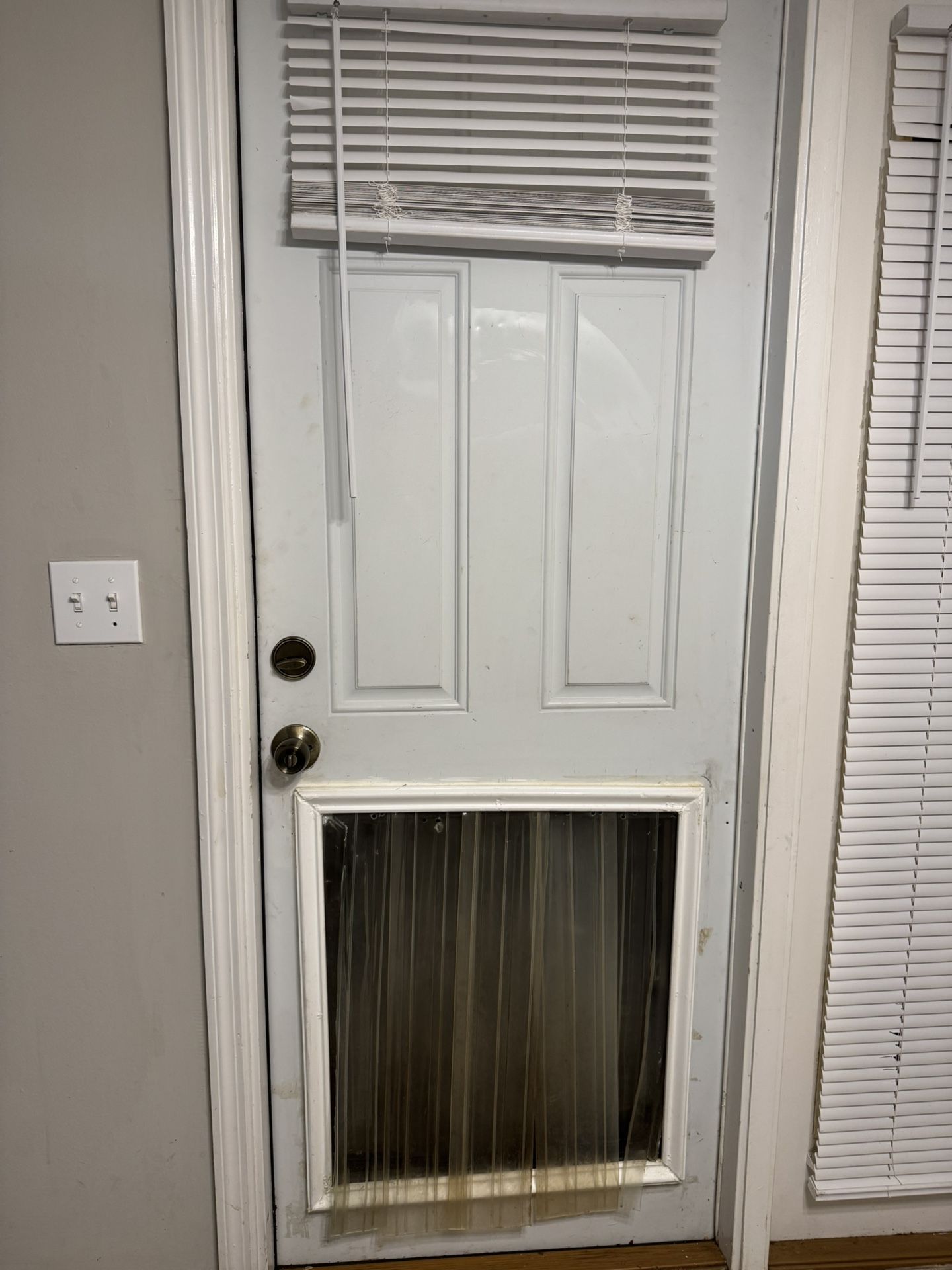 Doggy Door