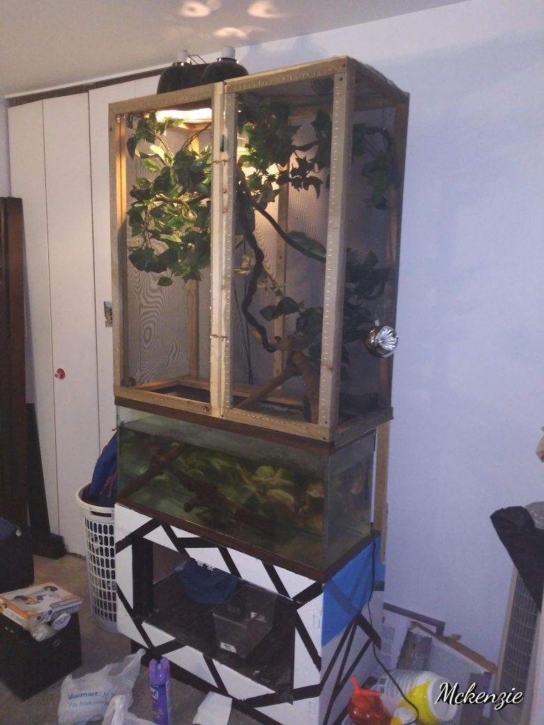 Custom Made Chinese Water Dragon Enclosure
