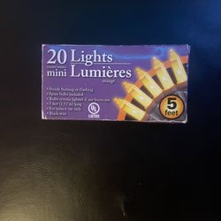 *NEW* 20 Lights count/unités mini Lumières 5 Feet