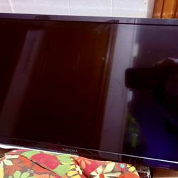 $40 INSIGNIA 22 FlATSCREEN TV  REMOTE 
