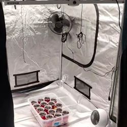 Grow Tent Full Setup