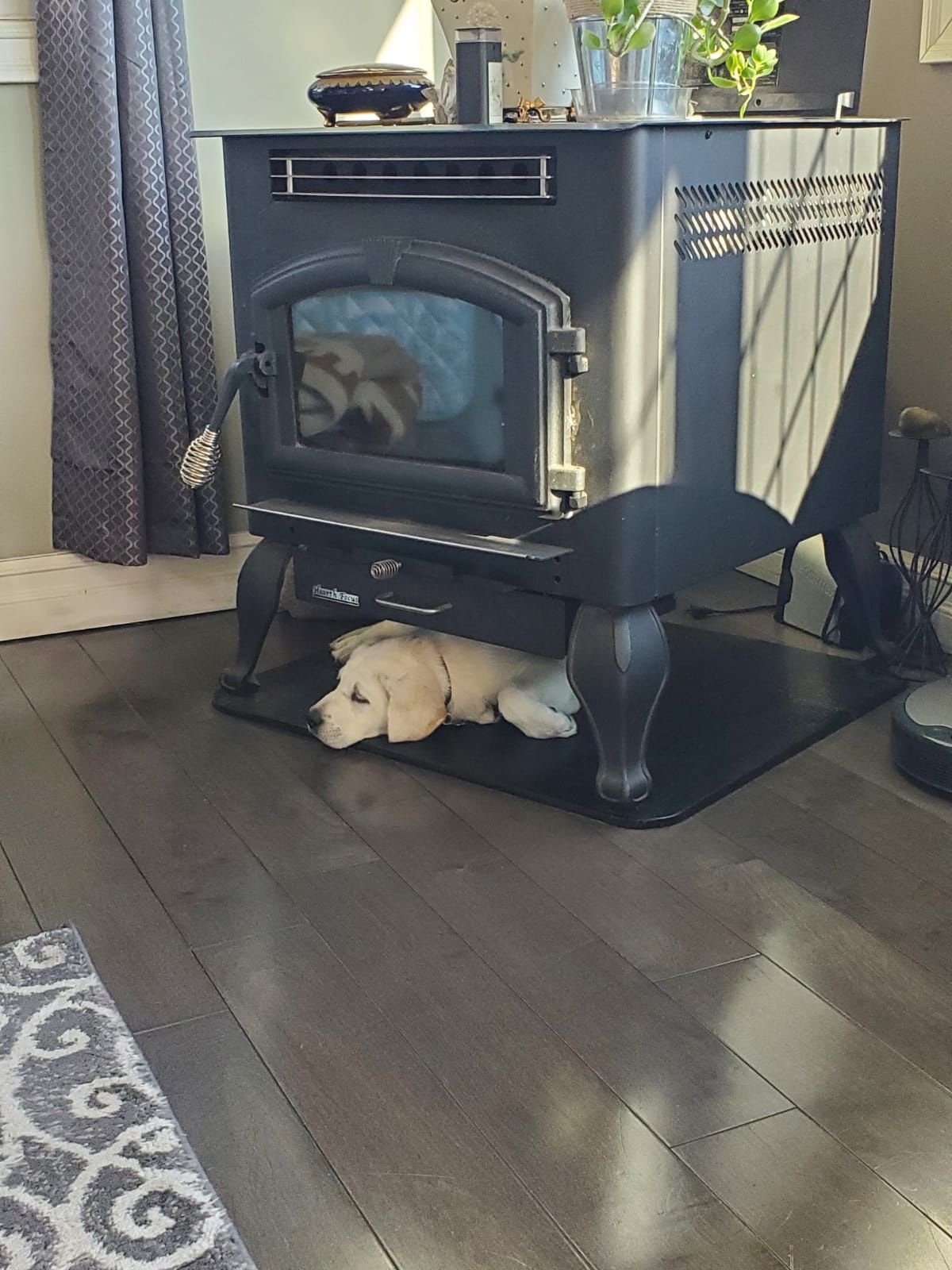 US Stove Pellet Stove, 2,200 Sq. Ft. Multifuel Stove On Legs, 6041HF for  Sale in Utica, NY - OfferUp