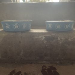 Blue Dog Bowl Pair