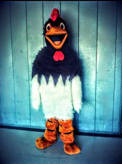 Rooster perfessional costume adult size
