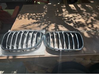 BMW X3 Front Grille
