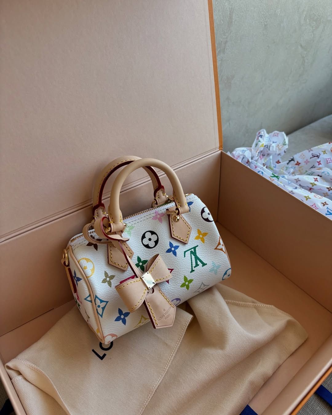 LOUIS VUITTON Nano Speedy Murakami