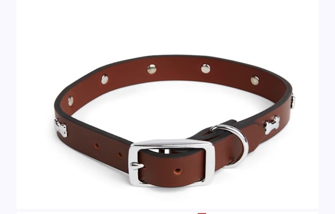 Brown Genuine Leather Rebel Dog Collar with Silver Bone Studs – Small / Medium Sized – 24” Long