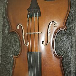 Classical Strings Student 14 viola