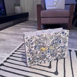 Dior Store Bag