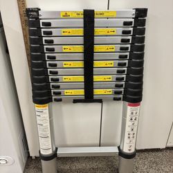 Telescopic Ladder