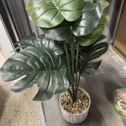 Faux Plant